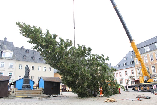 weihnachtsbaum 2