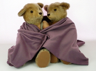 steiffteddys frieren ob B18 steiffteddys frieren ob B18