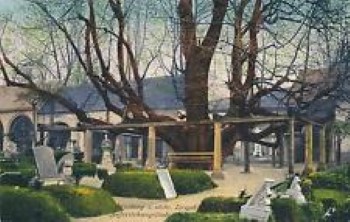 Annaberg - Alter Friedhof 1921 (Andere)