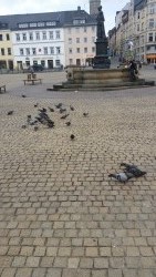 Marktplatz Annaberg (Andere) Marktplatz Annaberg (Andere)
