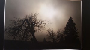 Uli 7 (Andere) Uli 7 (Andere)